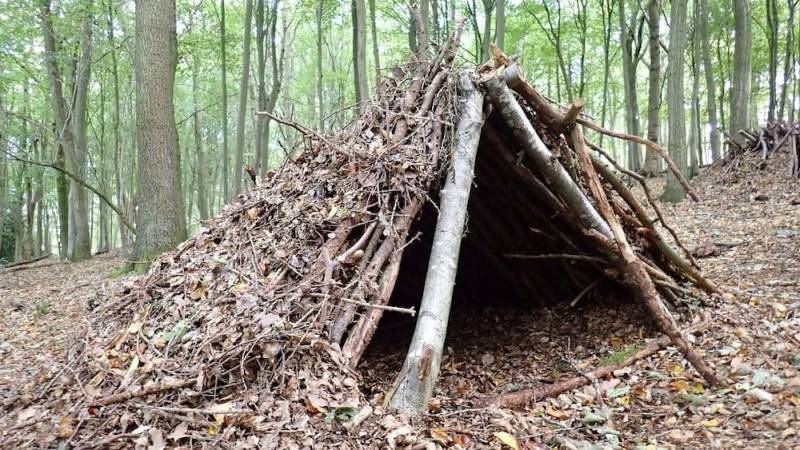 Shelter