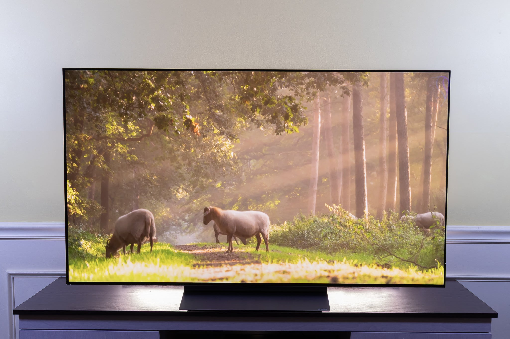 The Best 40-inch TVs In 2026: Premium Screens For The Lowest Price