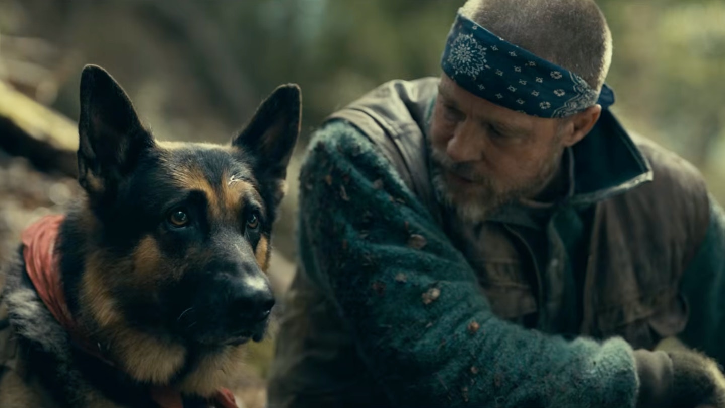 Heart Of The Beast Trailer: Brad Pitt And His Dog Brave The Elements In David Ayer Survival Thriller