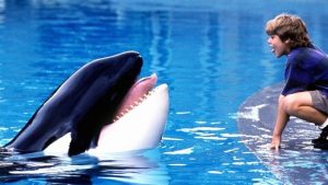 Free Willy Set For A Comeback With Russo Brothers Produced Reboot