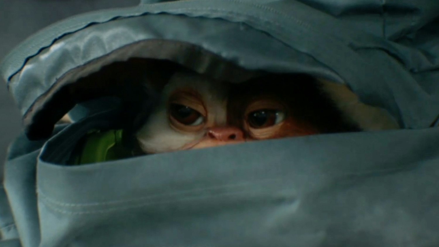 Gremlins 3 Unveils First Look At Gizmo’s Return, And Confirms New Release Date