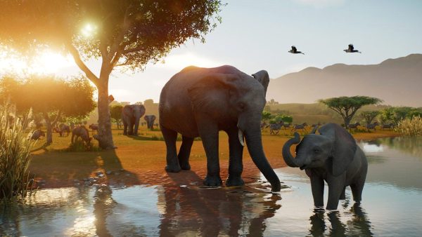 سفر به دنیای حیات‌وحش با Planet Zoo 2: تجربه‌ای نوین و جذاب