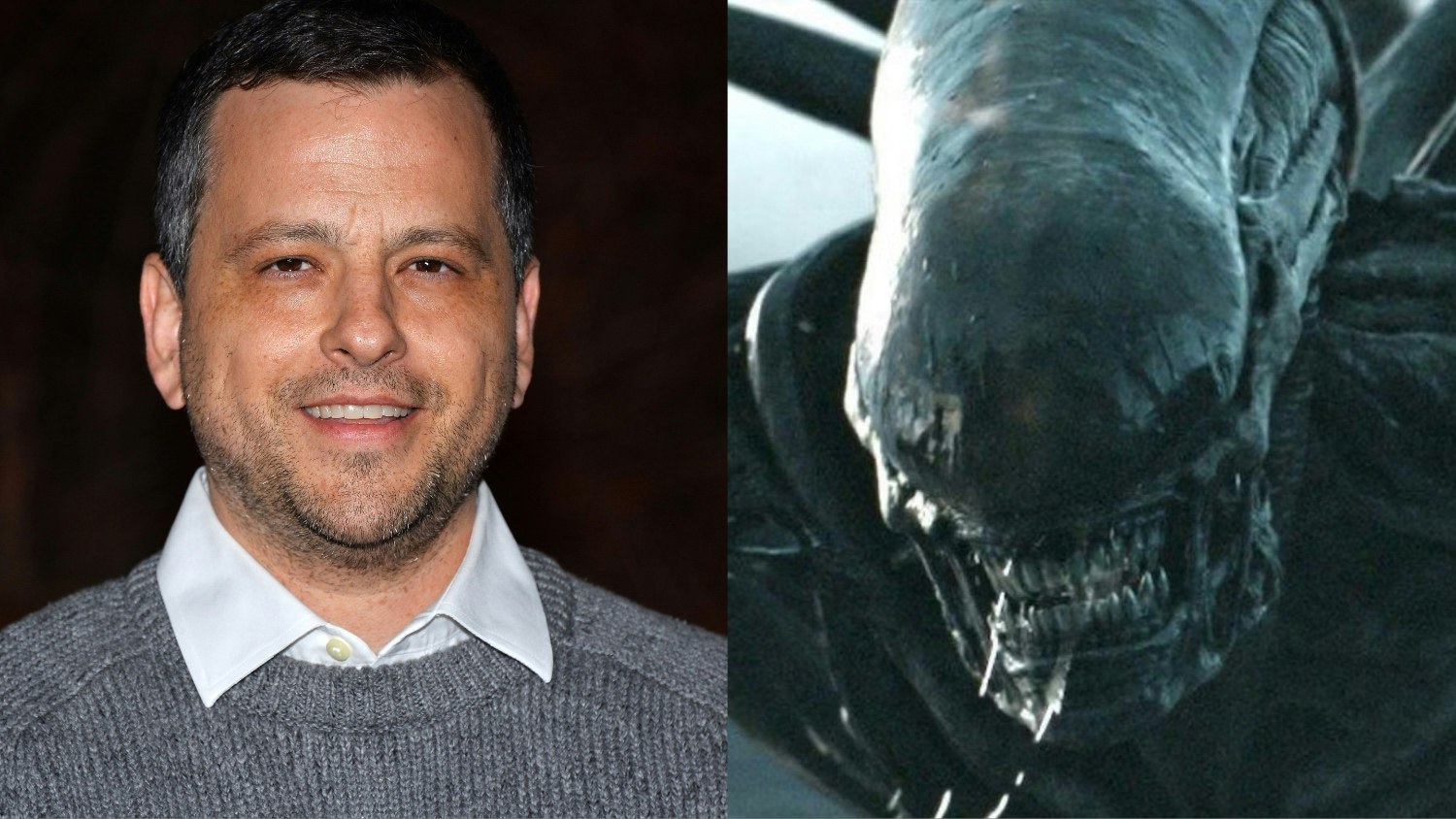 New Alien Movie In The Works From Raised By Wolves Writer Aaron Guzikowski