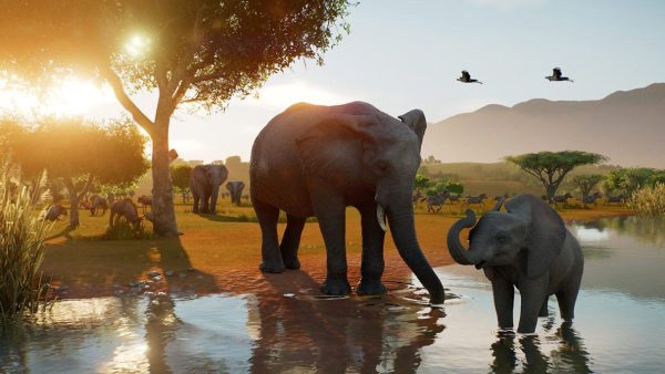 بررسی Planet Zoo 2: دنیای شگفت‌انگیز حفاظت از حیات وحش